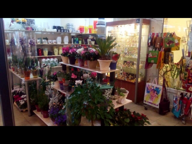 Ziedu veikals bāze Rīgā