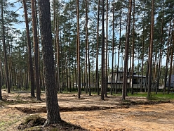 Meža zemes transformācijas pakalpojums