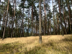 atmežošanas plāns