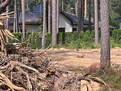 meža īpašumu uzpirkšana