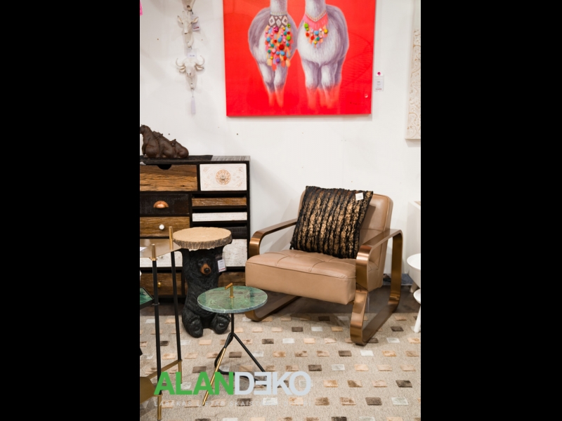 ALANDEKO atpūtas krēsli spilveni sienas gleznas kafijas galdiņi