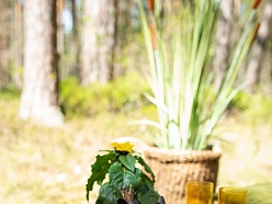 ALANDEKO oriģinālas dāvanas krāsaini trauki sānu galds