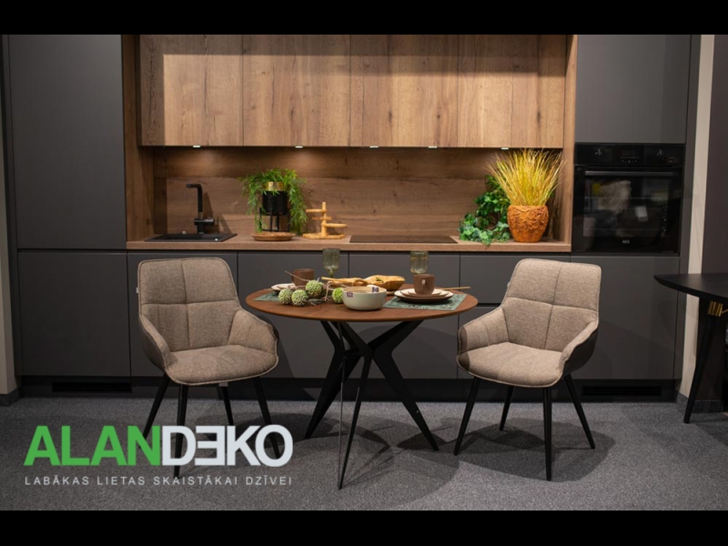 ALANDEKO pusdienu krēsli moderns interjers koka pusdienu galds