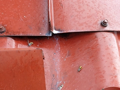 Monitorings un inspekcija