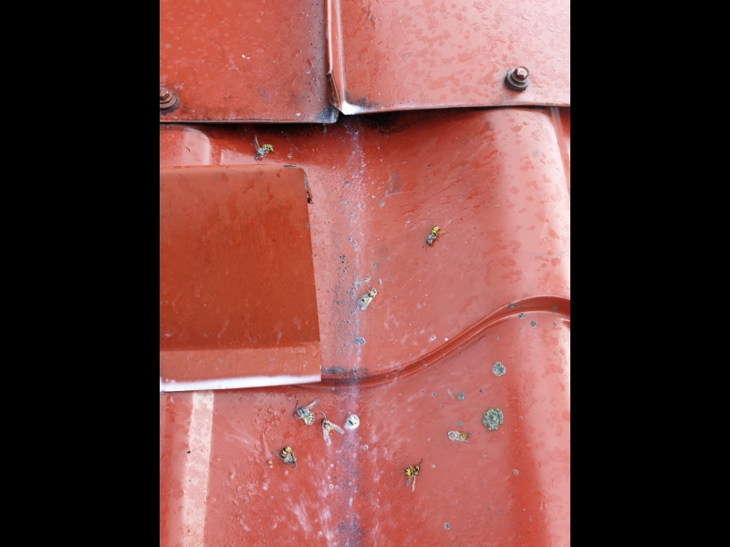 Monitorings un inspekcija