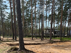 meža zemes transformācija