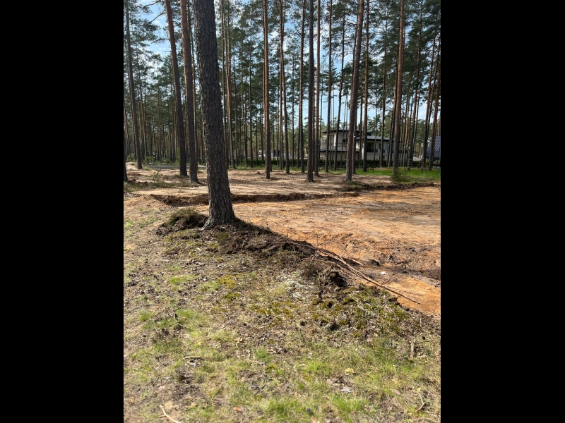 meža zemes transformācija