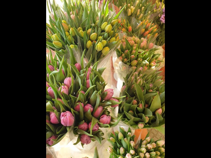 Diennakts ziedu veikals