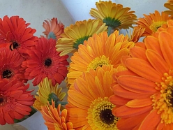 Ziedu pušķu izgatavošana