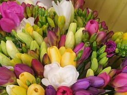 Puķu veikals Latgales ielā