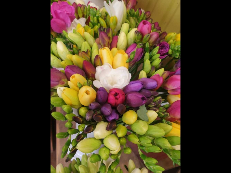 Puķu veikals Latgales ielā