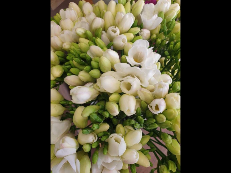 Ziedu veikals Versilija