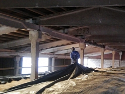 Dezinfekcija noliktavās