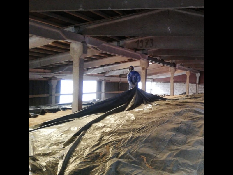 Dezinfekcija noliktavās