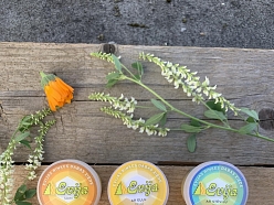 Ziede apsaldējumiem