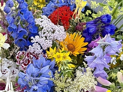 Pasākumu dekorēšana