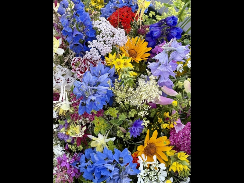 Pasākumu dekorēšana