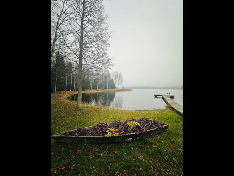Niedru pļaušana un izcelšana