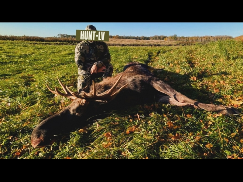 Medību brauciens Eiropā – staltbriežu un aļņu medības