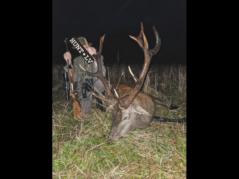 Katram viesmedniekam sagatavojam personalizētu programmu – no dzinējmedībām līdz trofeju sagatavošanai