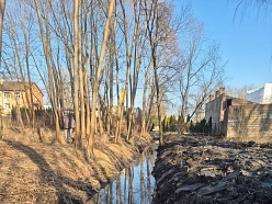 Grāvja attīrīšana no apauguma