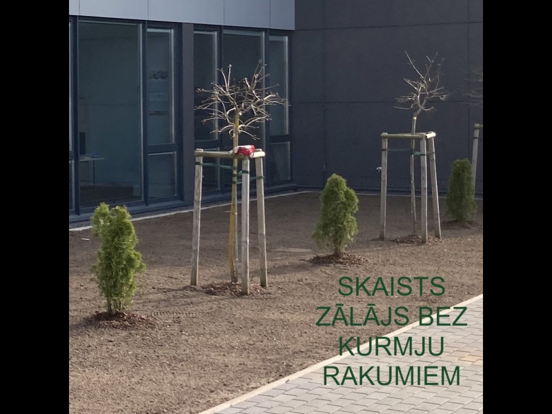 Zālājs bez kurmju rakumiem