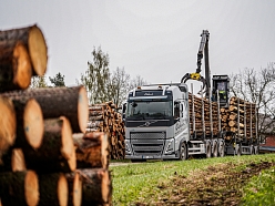 meža īpašumu apsaimniekošana