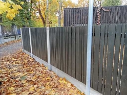 Žogs
