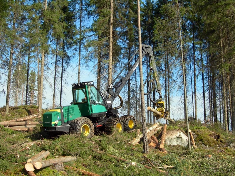 Kvalitatīvi mežsaimniecības darbi