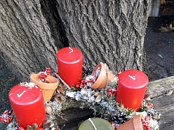 Adventes vainagi 