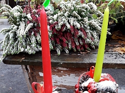 Adventes vainagi 