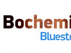 Bochemit Bluestop