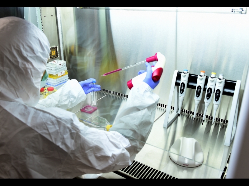 IVF Riga Cilmes šūnu centrs, darbs tīrās telpās