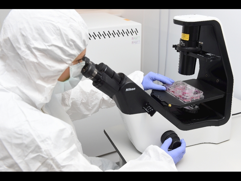 IVF Riga Cilmes šūnu centrs, parauga apstrāde