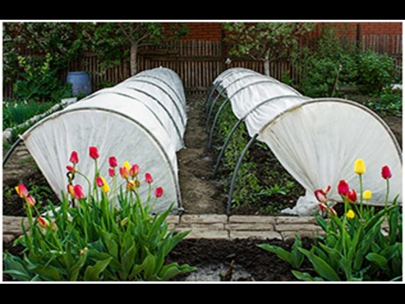 Plēves siltumnīcām