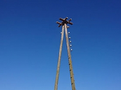 Arboristu pakalpojumi