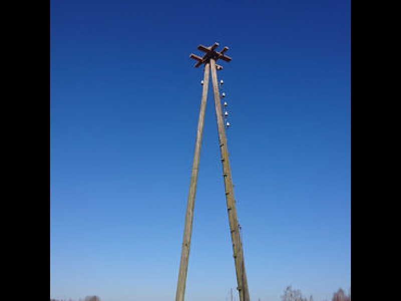 Arboristu pakalpojumi