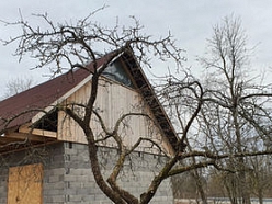 Arborista pakalpojumi