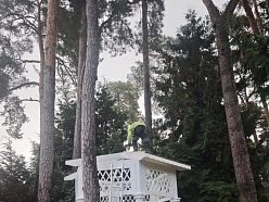 Lapenes labiekārtošana