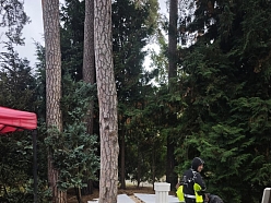 Teritorijas labiekārtošana