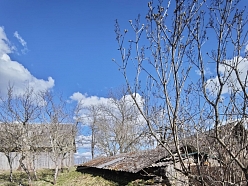 Labiekārtošanas pakalpojumi