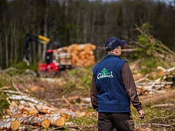 Meža īpašumu pirkšana