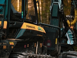 Meža apsaimniekošana