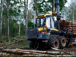 Koku transportēšana