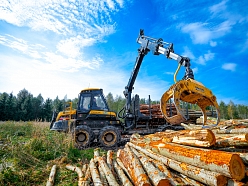 Koku transportēšana