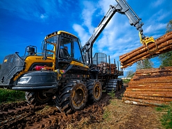 Mežu apsaimniekošana