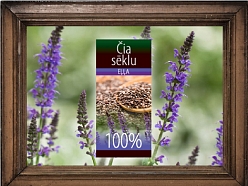 Čia sēklu eļļa