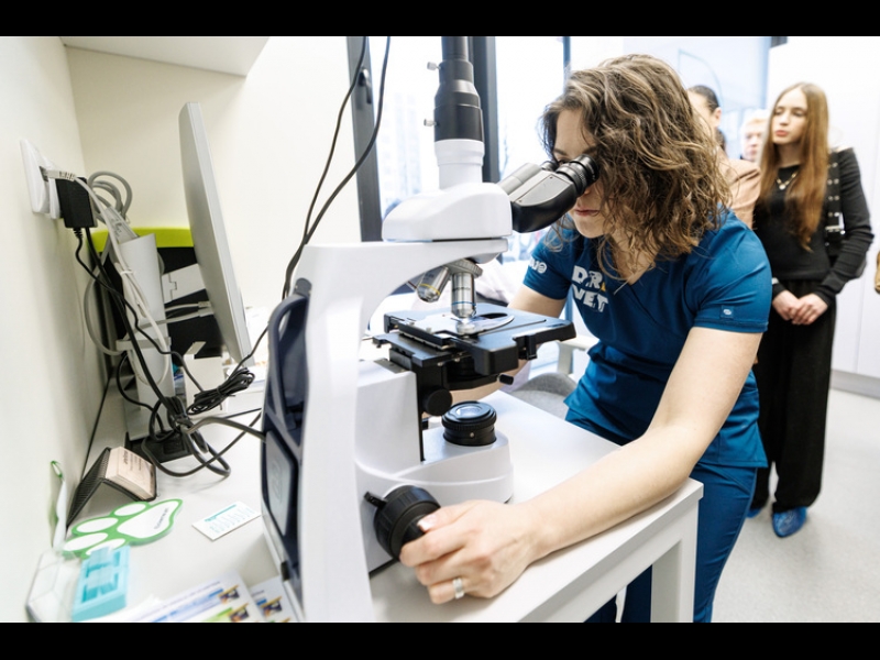 Mikroskopiska diagnostika