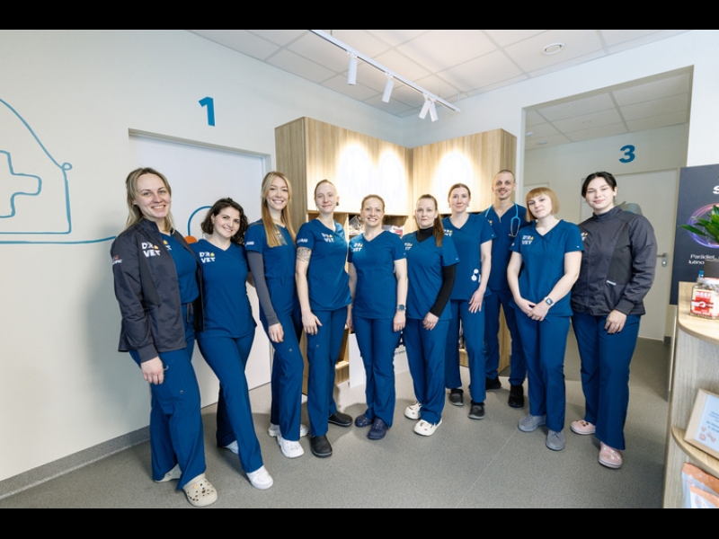 DR. VET profesionāļu komanda
