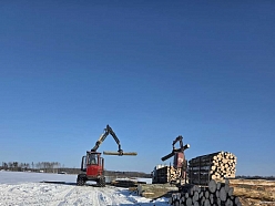Kokmateriālu pievešana un kraušana ar tehniku pēc izstrādes